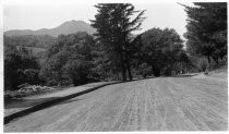 View uphill from 205 W. Blithedale Ave, circa 1912