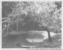 Stolte Grove in Homestead Valley, date unknown