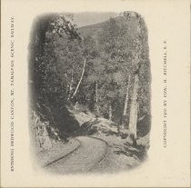 Entering Redwood Canyon, Mt. Tamalpais Scenic Railway