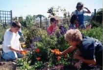 Edna Maguire School buddies in Children's Garden, 1990-1995