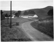 Tiburon Highway at Little Reed Ranch, 1931