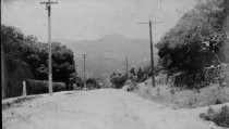 Throckmorton Avenue near Eugene Street, circa 1900