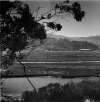 Photo of marshlands and Mt. Tamalpais, circa 1960's