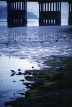 Underneath Richardson Bay Bridge, 1999