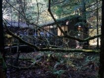 Muir Woods visitor center, 2019