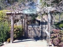 Photo of the Mill Valley Outdoor Art Club, date unknown