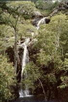 Mt. Tamalpais, Little Carson Falls, 1978