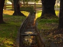 Miller Avenue drainage channel in medium strip, 2017