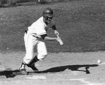 Little League player bunting, date unknown