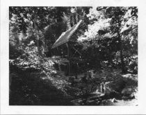 Restoration of John Reed's Sawmill in Old Mill Park, 1968