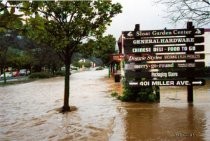 The 2005 Mill Valley flood-corner of Montford and Miller Ave., 12/30/2005