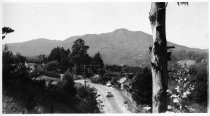 Edgewood Avenue looking towards Mt Tamalpais, 1957