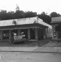 Miller Avenue Locust Area, 1970