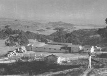 Hillside Dairy, 1937