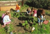 Edna Maguire School 5th buddies planting in Children's Garden, 2007