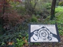 Boyle Park ecological signage, 2016