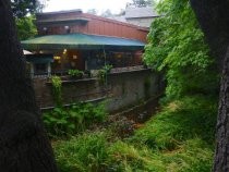 Mill Valley Flowers creekside view, 2016