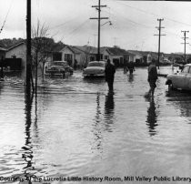 Flooding in Sycamore Area, 1955