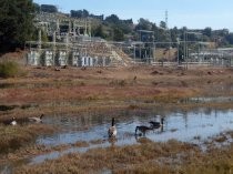 PG&E's Alto Substation seen from across Pickleweed Inlet, 2019