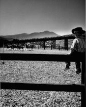 Mill Valley Southern Marin Horseman's Association, date unknown