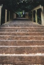 Dipsea Race: beginning of Dipsea Steps circa 1999