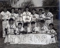 Little League team photo of the "MV Tigers", date unknown