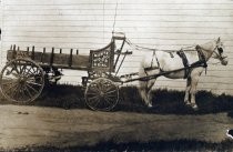 Muntz & Co.Wood and Coal cart, circa 1901