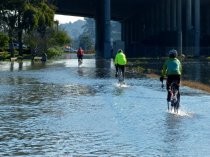 Multiuse Pathway bike riders during king tide, 2012