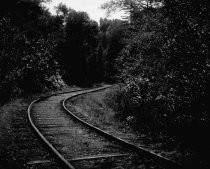 Mount Tamalpais & Muir Woods Railroad tracks, date unknown