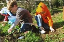 Edna Maguire School 5th grade buddies planting in Children's Garden, 2007