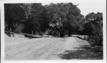 View downhill from 205 W. Blithedale Ave, circa 1912