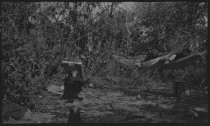 Two people in hammocks, Willow Camp, 1920