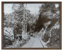 Black and white photograph of the Mt. Tamaplais and Muir Woods railways