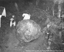 Excavating the Mill Valley City Hall war memorial rock, 1953