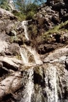 Mt. Tamalpais, Little Carson Falls, 1978