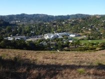 Edna Maguire School seen from Horse Hill, 2019