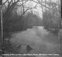 "The Storm" : Creek at its highest, 1925 (Photograph only)