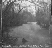"The Storm" : Creek at its highest, 1925 (Photograph only)