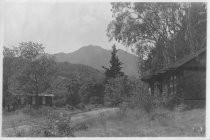 View of Eldridge Avenue houses, circa 1930