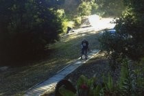 Jan Van Vlaenderen on a walkway at Mandala House in Druid Heights, 2018