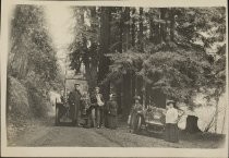 Automobile passengers under the big trees