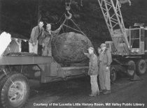 Mill Valley City Hall war memorial rock, 1953