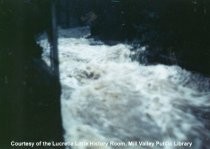 Flood waters from Maytag's Road onto West Blithedale, January 4, 1982