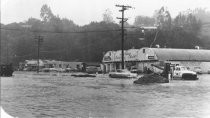The Miller Avenue Shopping Center during the flood of 1955