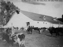 Little Reed Ranch, circa 1955