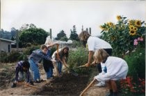 Mill Valley Children's Garden preparing plant bed, 1990-1994