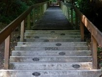 Dipsea Trail donor plaques at lower steps, 2013