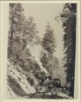 Mt. Tamalpais and Muir Woods Railway train above Fern Canyon, 1920