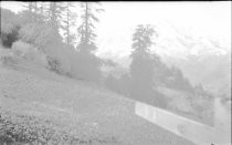 Snow covered Mt. Tamalpais from top of Dipsea Stairs 1922