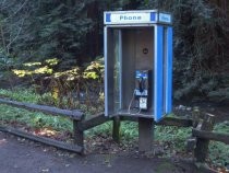 Muir Woods phone booth near parking lot, 2019